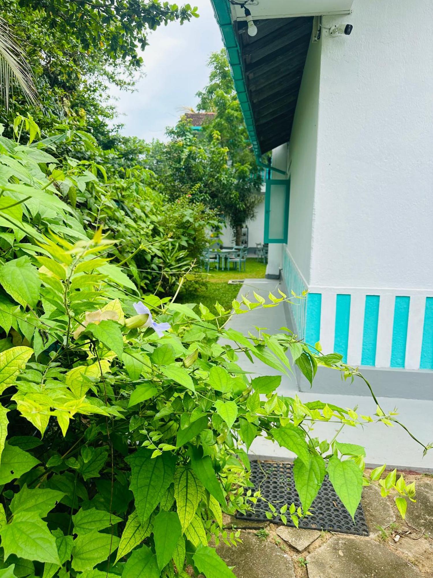 Villa 47 ヒッカドゥワ エクステリア 写真